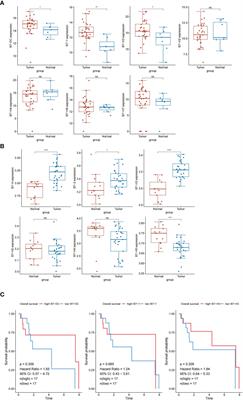 Overexpression of B7-H3 Is Associated With Poor Prognosis in Laryngeal Cancer